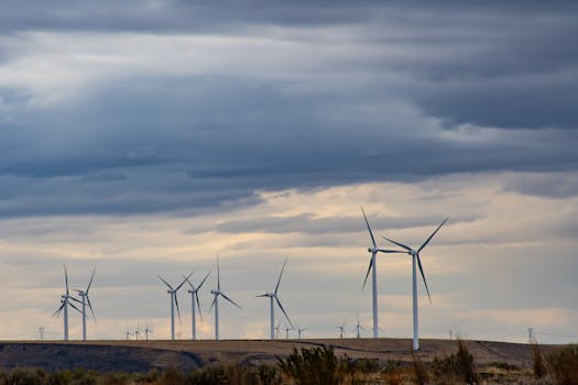 开阔的景观中，阴天里多台风力涡轮机展示着可再生能源