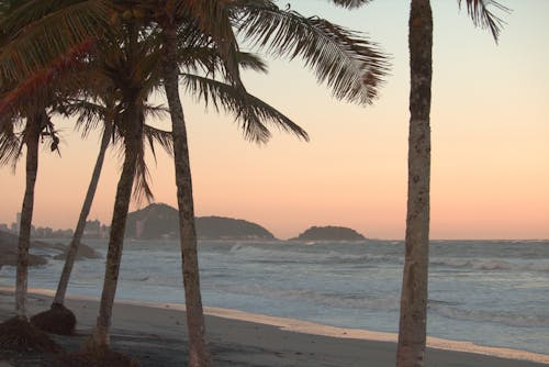 Бесплатное стоковое фото с берег океана, идиллический, курорт
