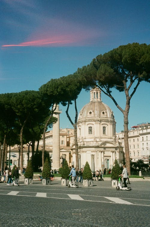 Trees, and Buildings in City, Rome, Italy