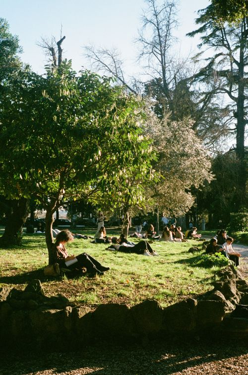 Free A peaceful scene of people relaxing on a sunny day in a lush green park. Stock Photo