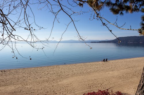 太浩湖 的 免费素材图片