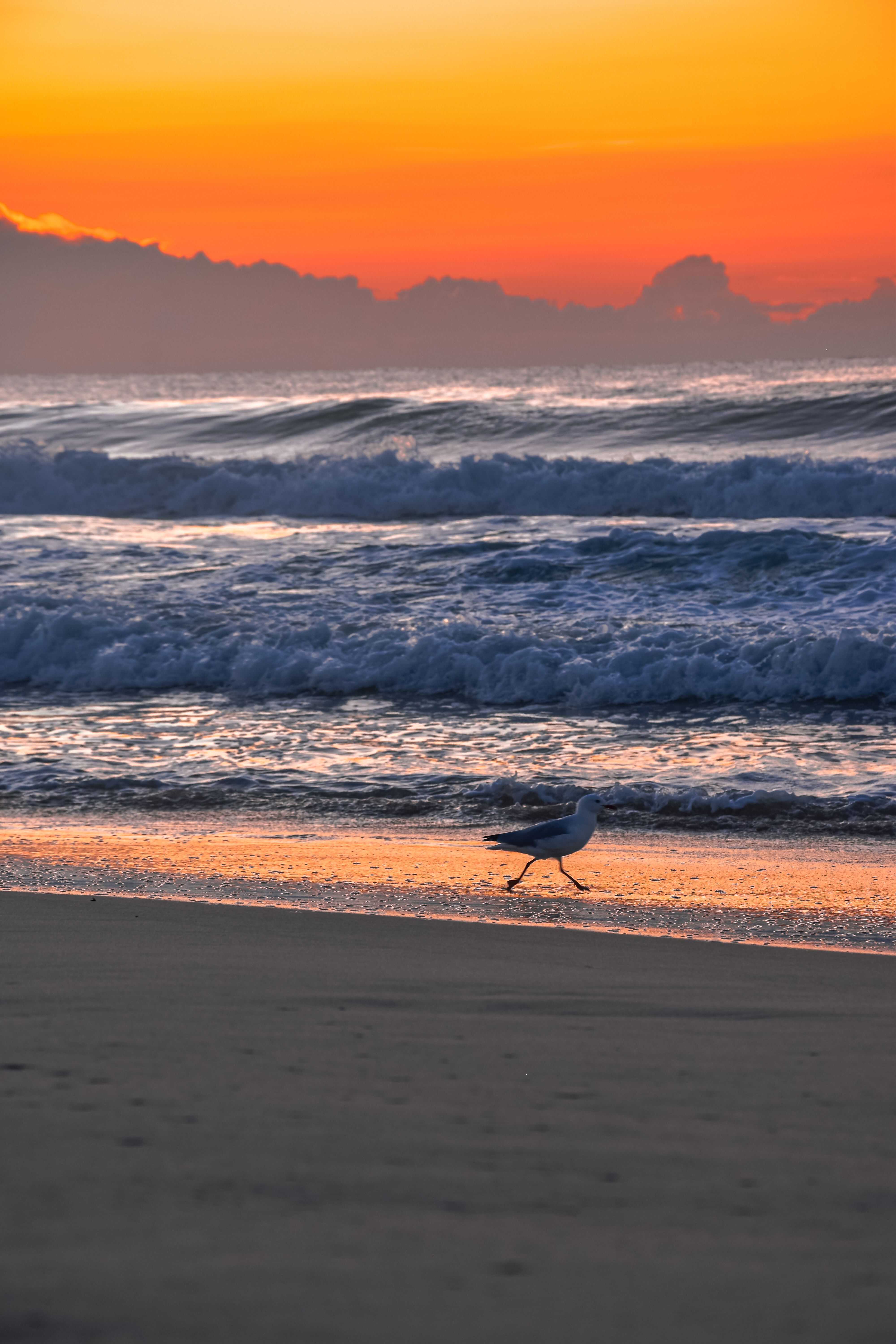 A sunset on the beach with waves and clouds free stock photo