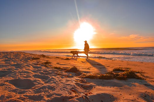 A peaceful evening walk along the sandy beach with a man and his dog silhouetted against a stunning sunset.
