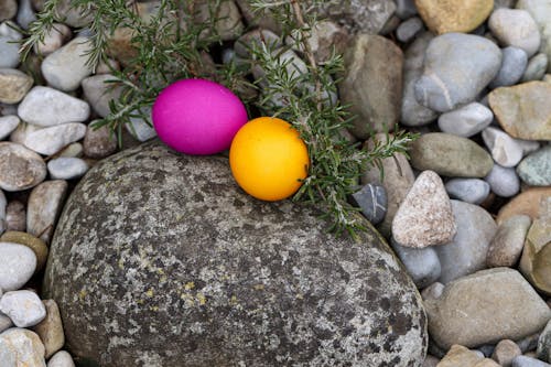 Gratis lagerfoto af æg, dekoration, farverig