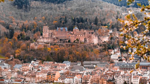 Stunning aerial shot of Heidelberg Castle surrounded by autumn foliage in Heidelberg, Germany.