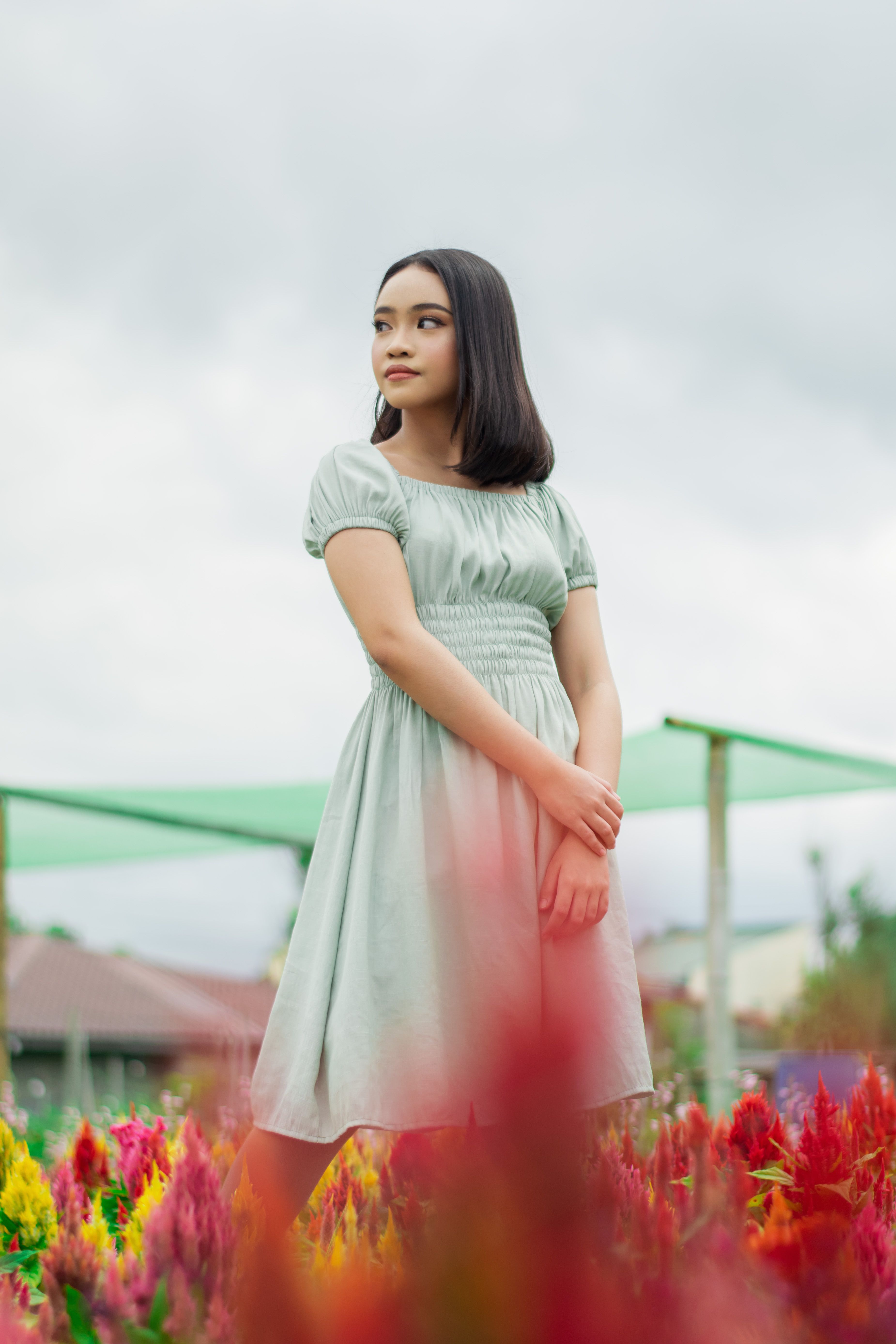 Young Brunette in a Dress Standing on a Field with Flowers  Free Stock  Photo