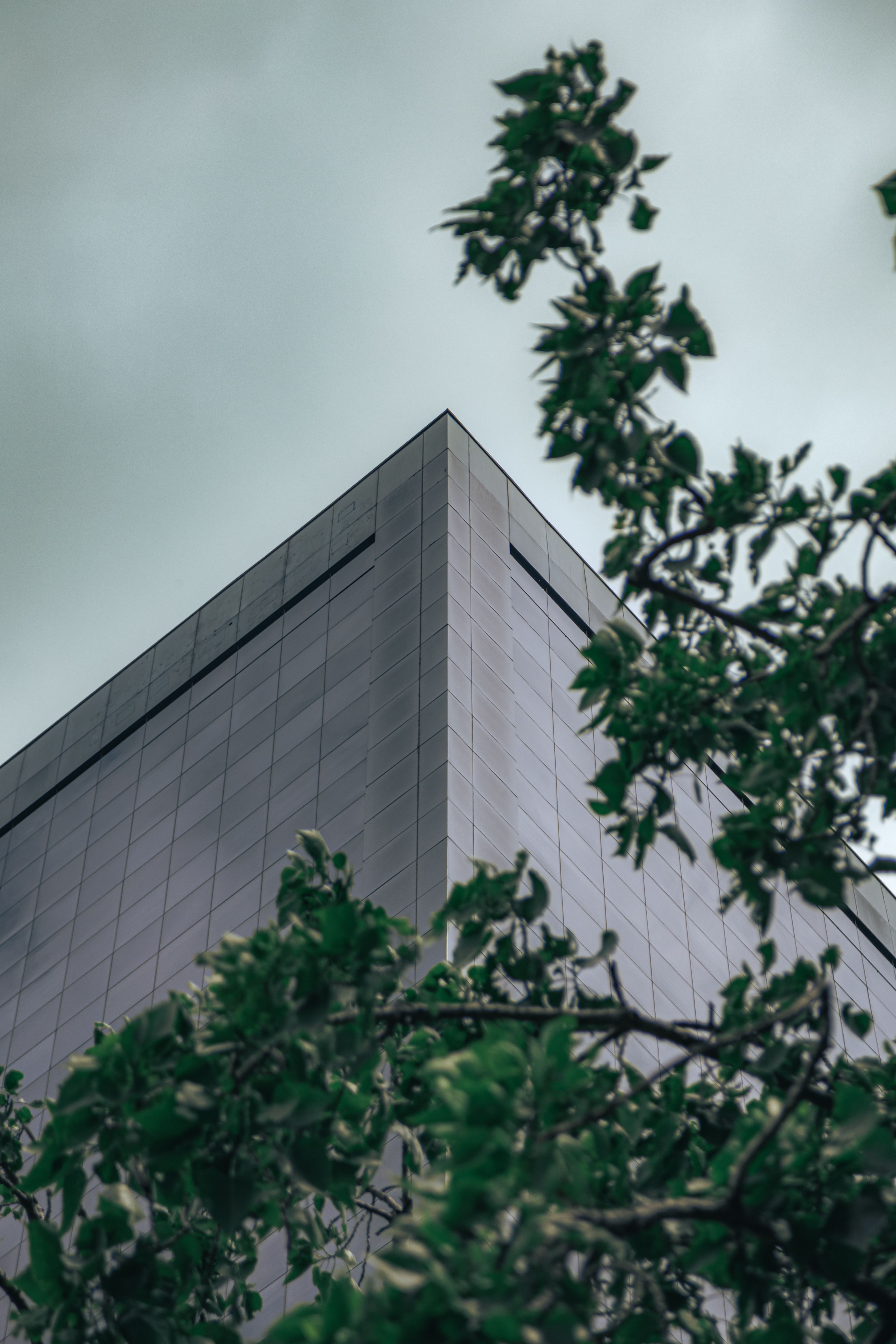 Low Angle Shot of a Modern Building · Free Stock Photo