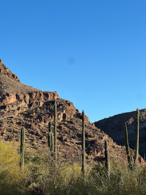 Photo of a Mountain against a Clear Sky 