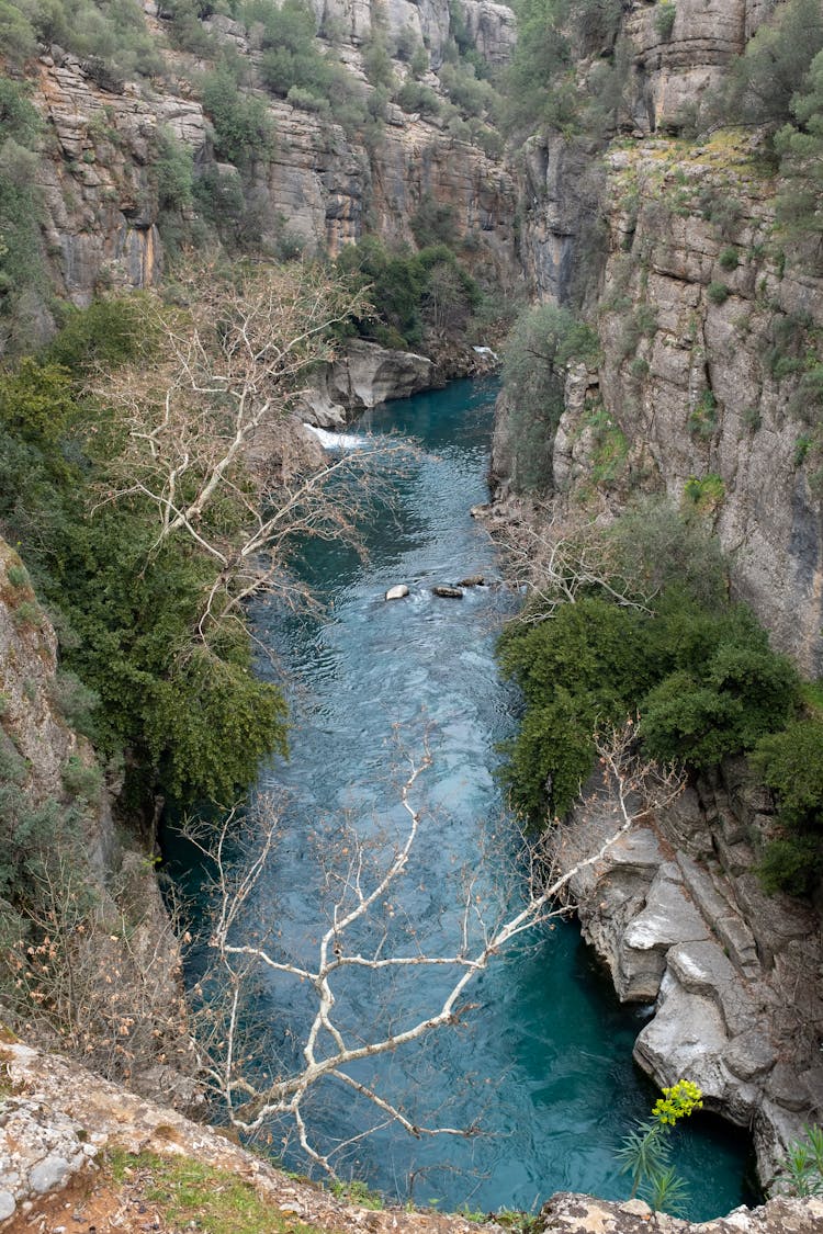 View Of A River 