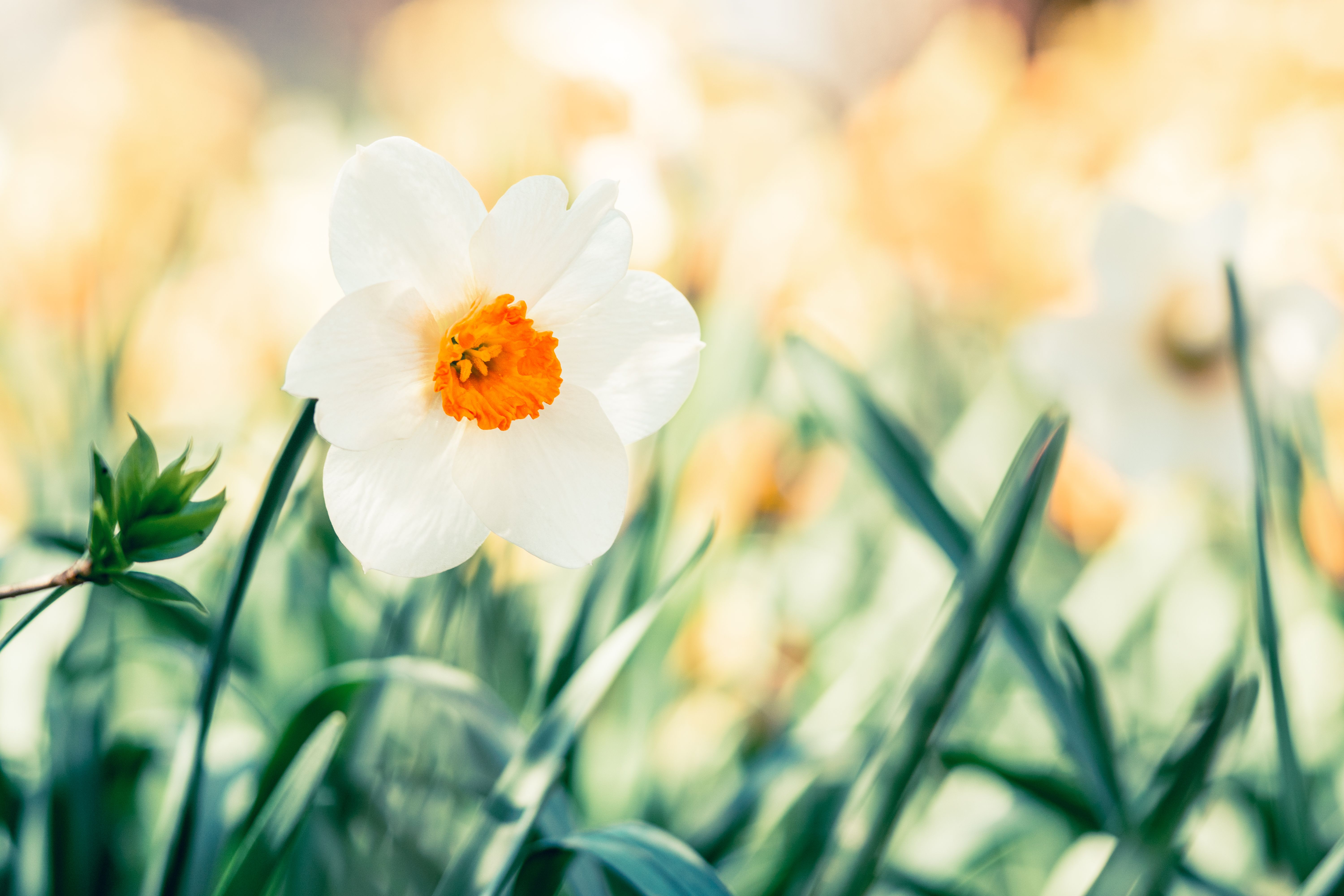 Local expert offers tips to ‘spring clean’ your beauty, skincare routine — Photo by Tina Nord on Pexels