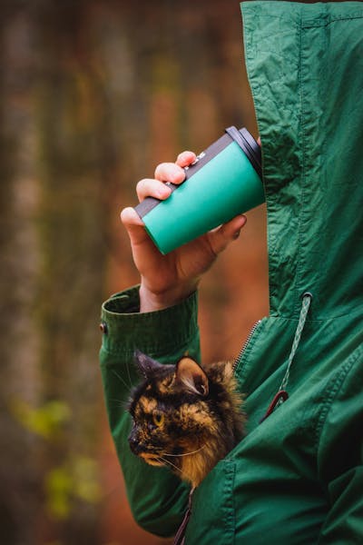 Cat Drinking Coffee Photos, Download The BEST Free Cat Drinking Coffee