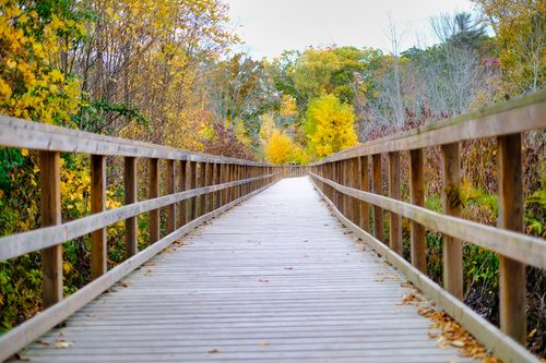 Free A serene wooden footbridge during fall, showcasing colorful foliage and vibrant nature. Stock Photo