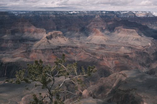 Birds Eye View of Grand Canyon