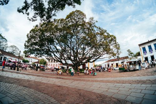 Free Lively town square scene with people under a large tree, historic buildings, and a vibrant urban atmosphere. Stock Photo