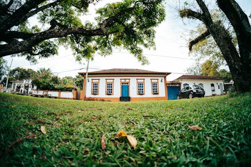 The Lawn in Front of a House 