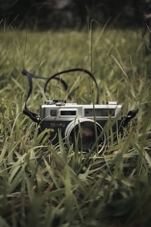 Ingyenes stockfotó 35 mm-es film, analóg, elektro 35 gsn témában