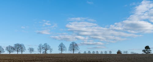 Kostnadsfri bild av flield, panorama, silhuett