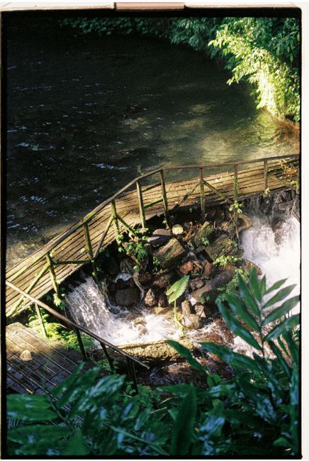 Scenic view of a wooden footbridge over a vibrant waterfall in a lush green forest, captured from above.