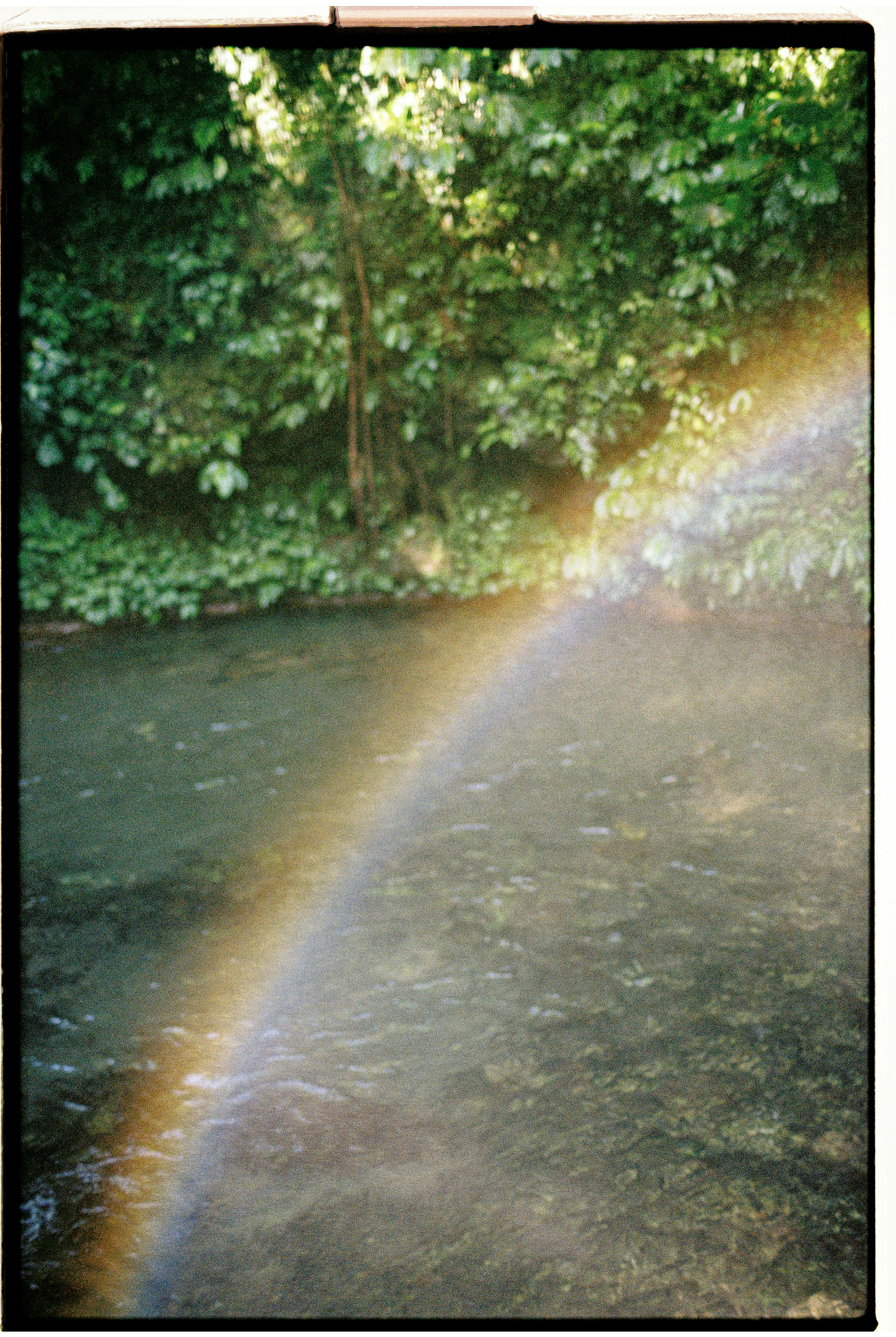 A peaceful forest river scene with a rainbow reflection, capturing nature's beauty.