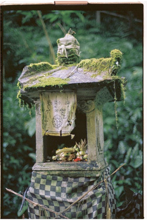 Offering in Buddhist Shrine