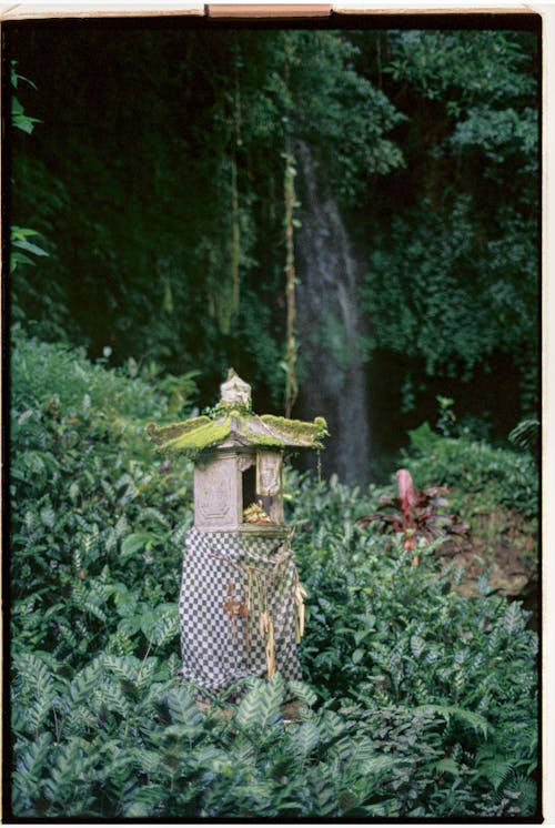 Shrine in a Forest 