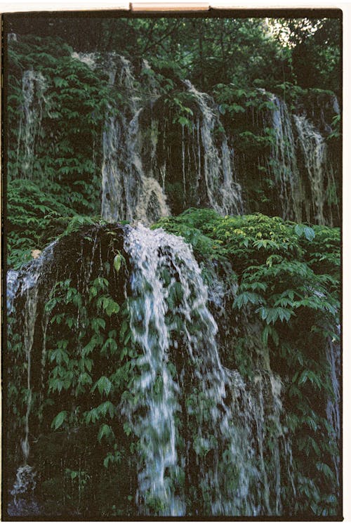 Scenic View of a Waterfall 