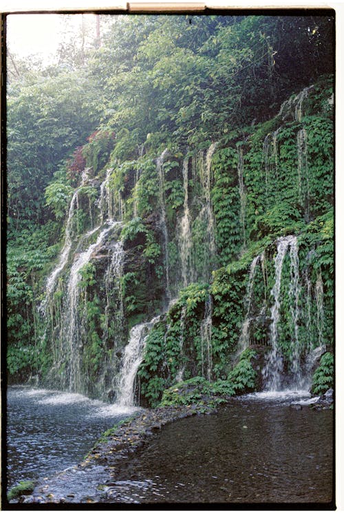 Foto profissional grátis de cachoeira, corrente, floresta