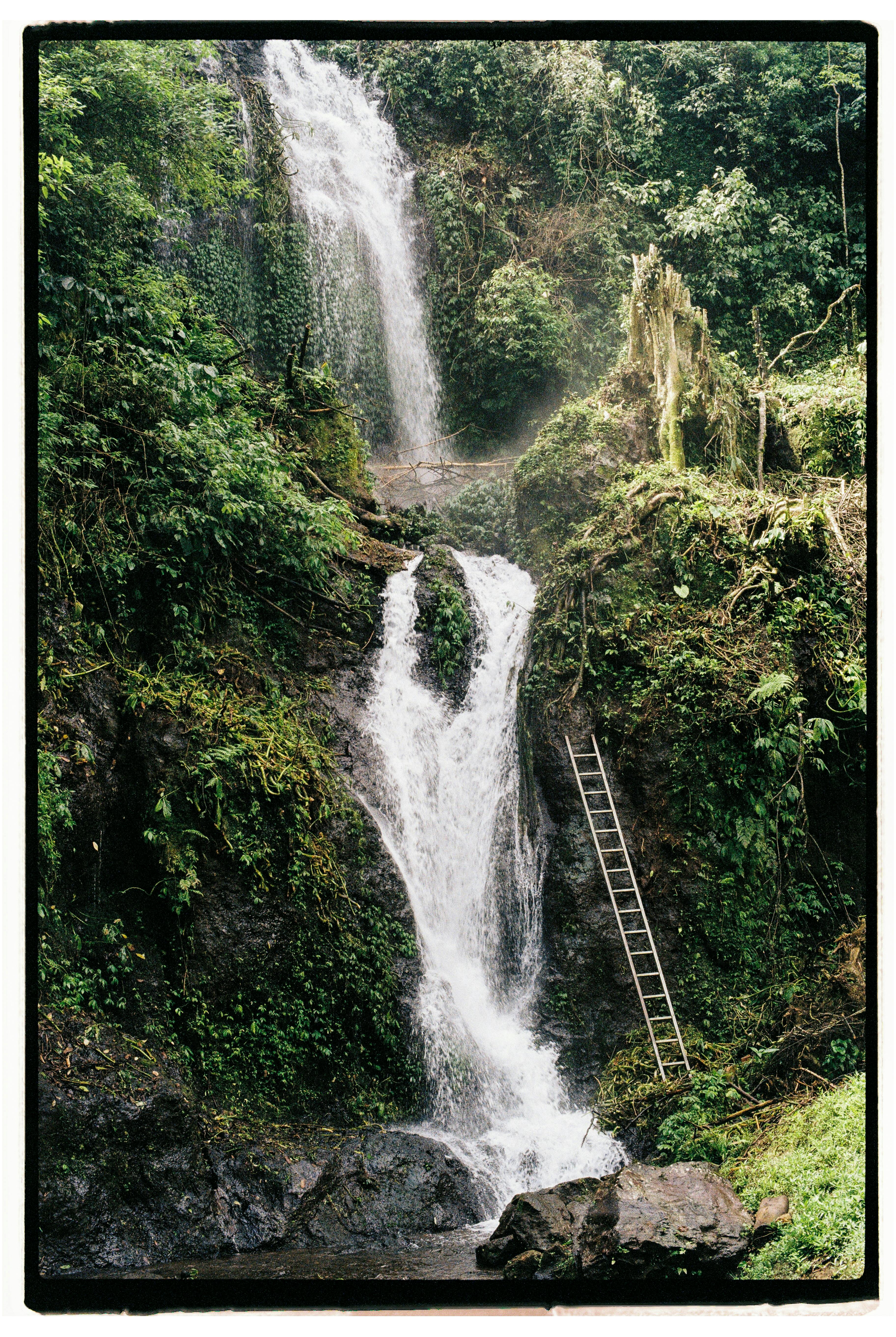 Stunning vertical shot of a waterfall cascading over rocks, framed by dense green foliage with a rustic ladder.