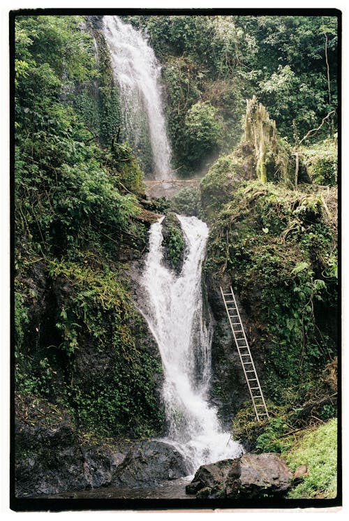 Scenic View of a Waterfall 