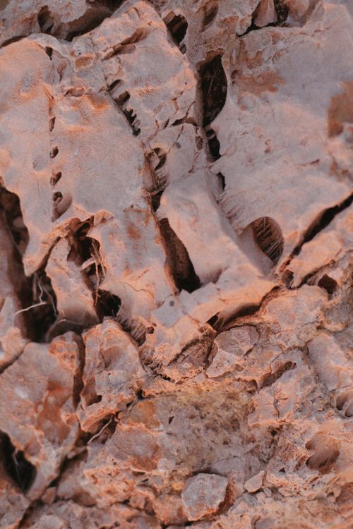 Free Detailed shot of rugged rock surface with dry, cracked texture, ideal for background use. Stock Photo