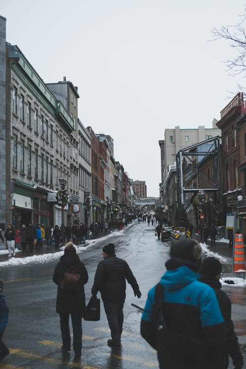 冬季, 垂直拍攝, 城市 的 免費圖庫相片