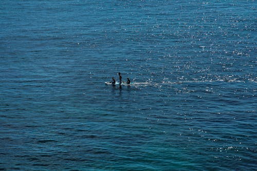 People on a Surfboard 