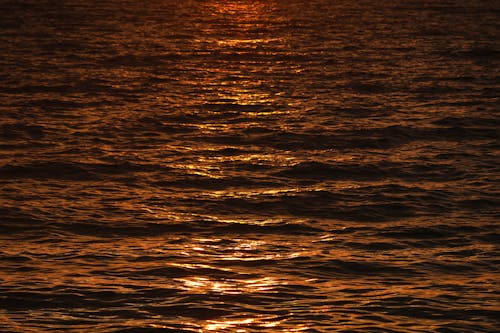 Shiny Water Surface at Sunset