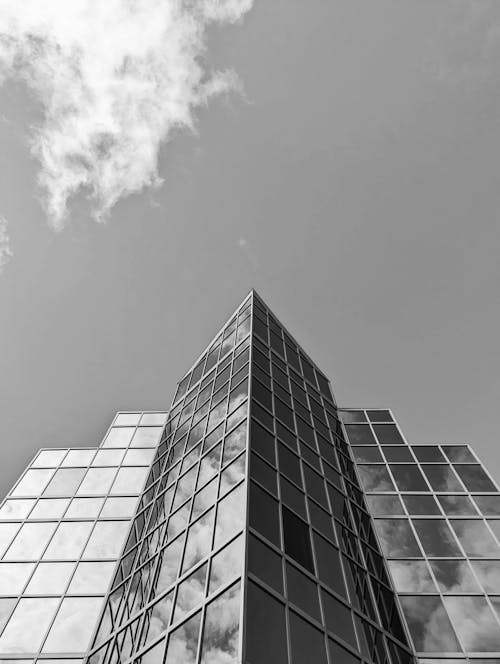 Modern Office Building in Black and White