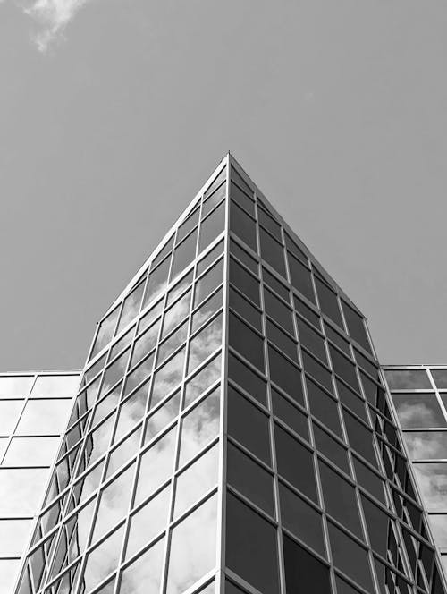 Office Building in Black and White