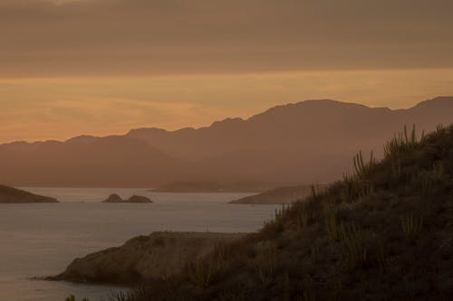 Hills on Sea Coast at Sunset