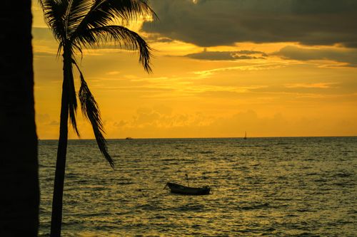 Free Vibrant sunset over the sea with a lone boat and palm tree silhouette in Puerto Vallarta, Mexico. Stock Photo