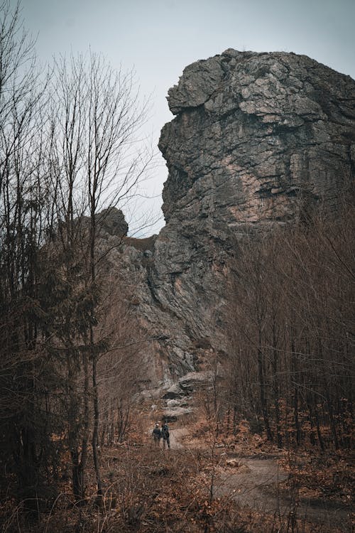 垂直ショット, 岩石層, 旅行の無料の写真素材