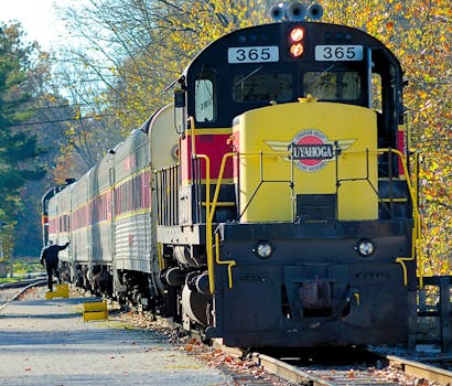 Black and Yellow Train Near Green Trees during Daytime