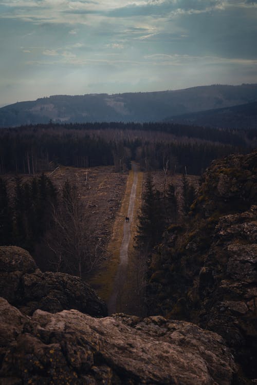 Kostenloses Stock Foto zu bäume, berge, hohe winkelansicht