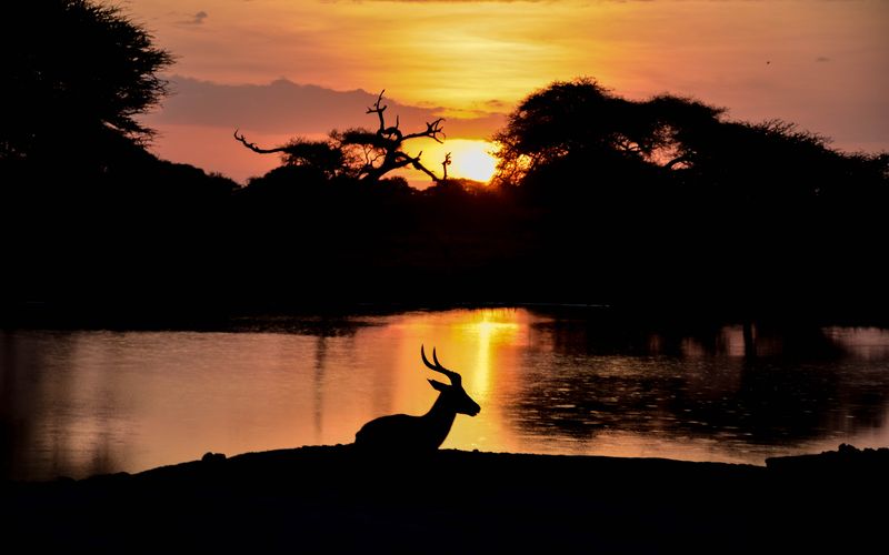 Top End Photography Tour