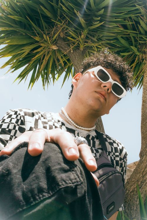 Free Cool fashion pose of a man wearing sunglasses and a necklace under a palm tree. Stock Photo