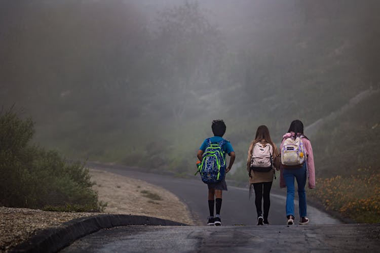 Kids Going To School In The Fog 