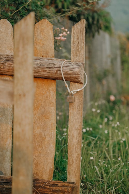 Padlock Hanging on a Small Wooden Gate