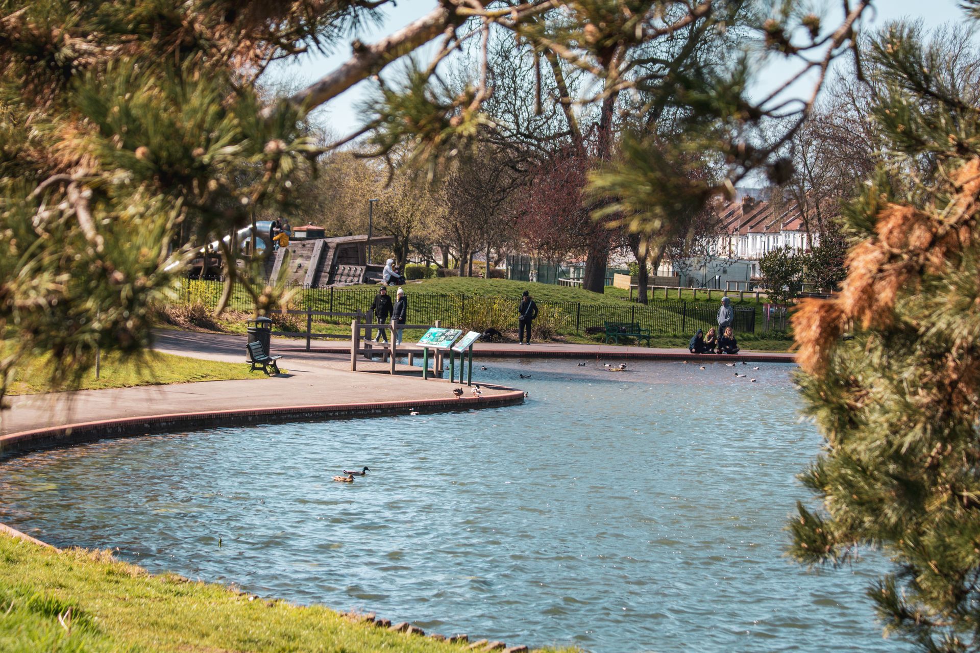 A serene park scene in Bristol with a pond, greenery, and people enjoying the outdoors.