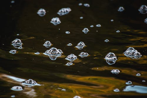 Bubbles on the Water 