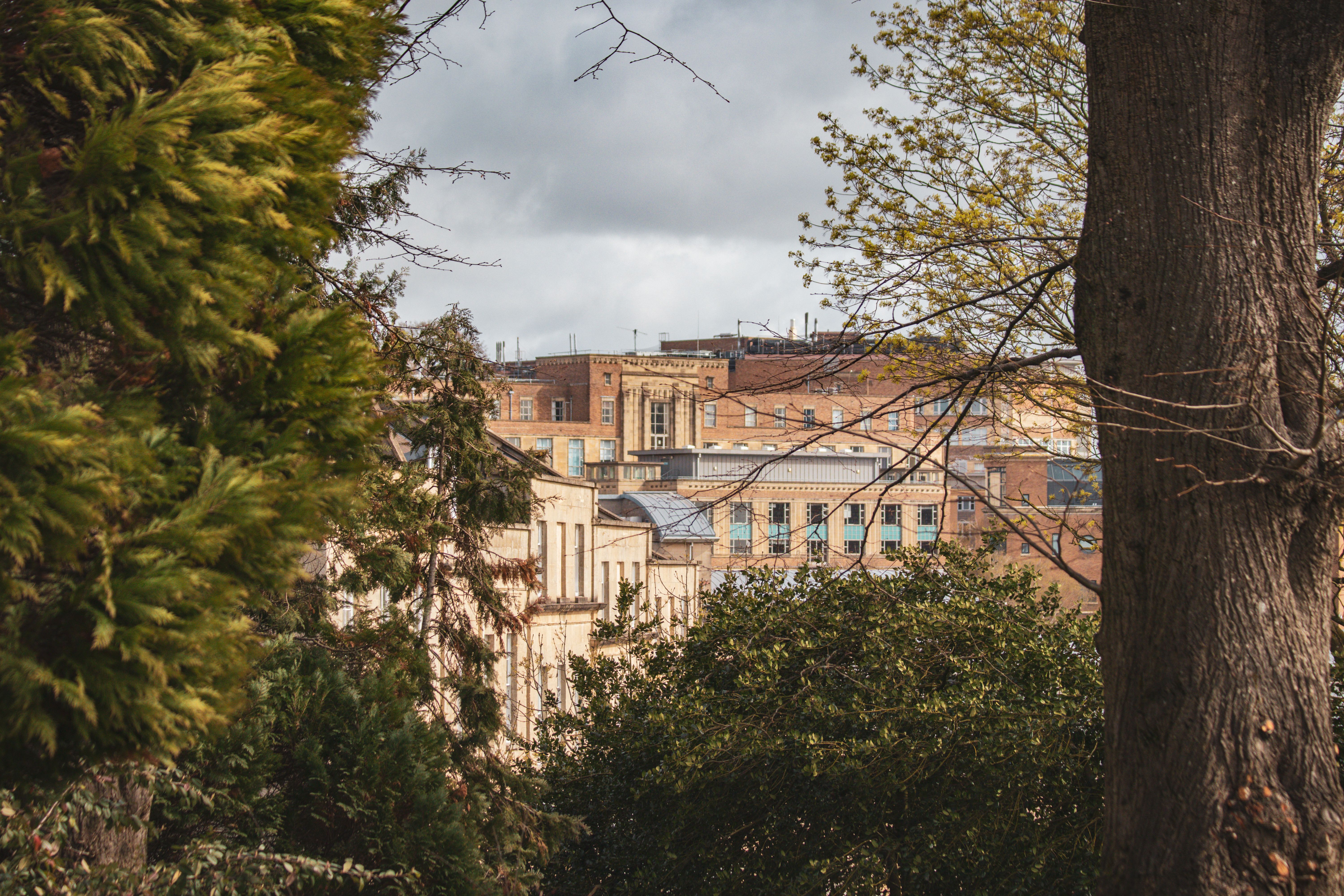 Captivating view of Bristol's urban architecture framed by lush greenery, showcasing a harmonious blend of city and nature.