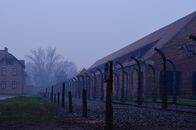 Leafless Trees Near the Building