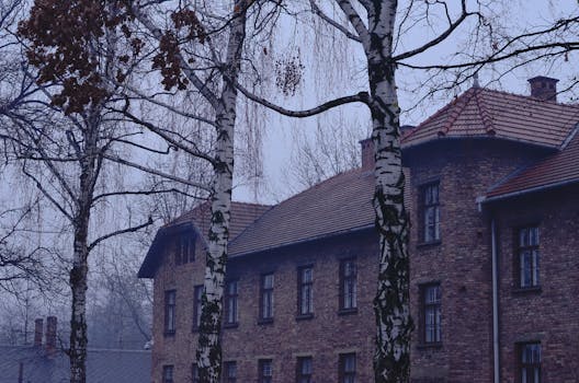 A foggy scene of historic brick buildings surrounded by birch trees in Oświęcim, Poland.