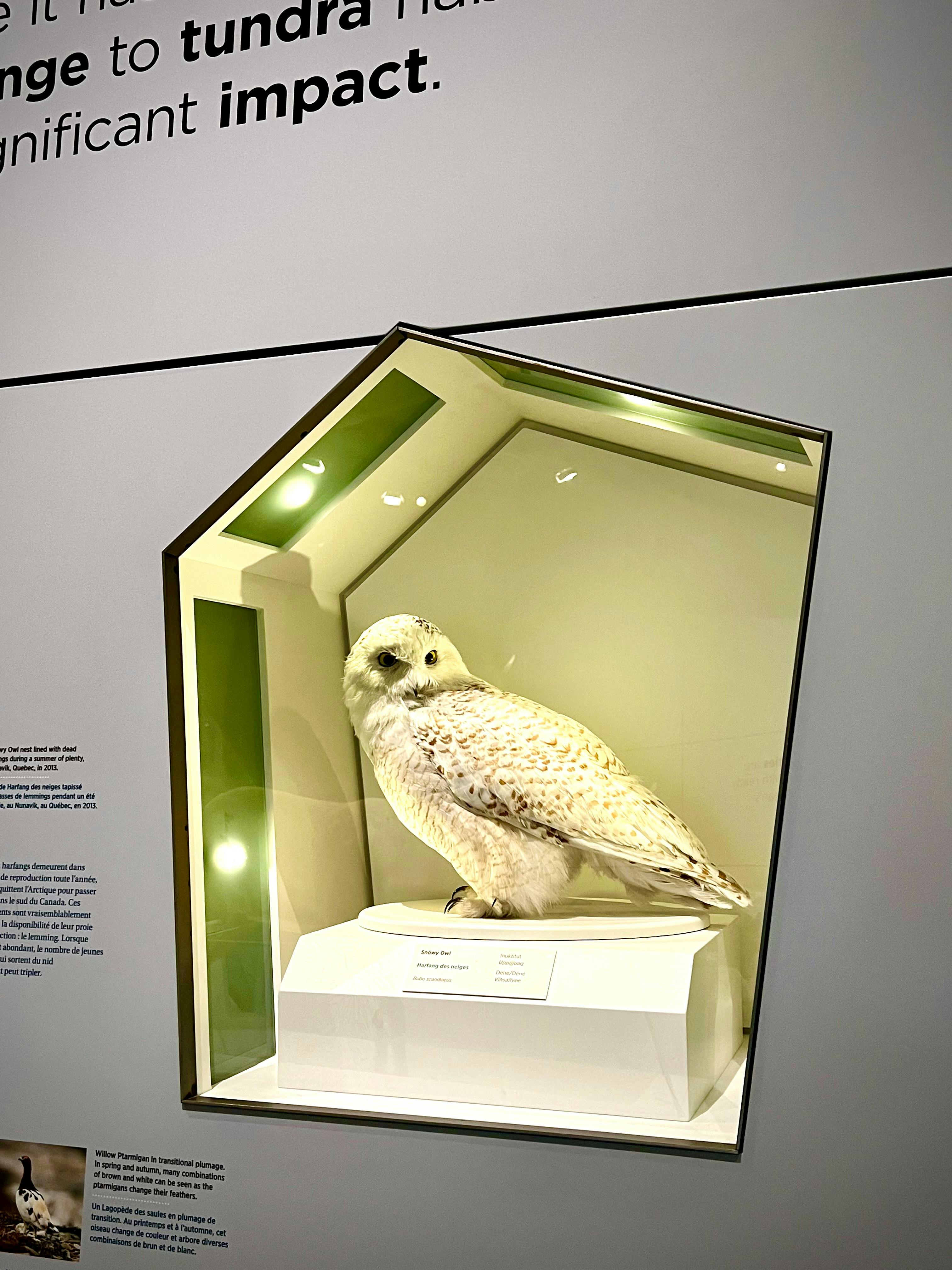 传奇私服沙巴克攻城战